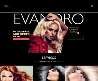 Evandrodiniz.com.br(Evandro Diniz) Screenshot