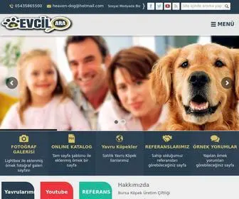 Evcilara.com.tr(Satılık yavru Köpek İlanları) Screenshot