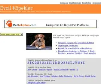 Evcilkopekler.com(Köpek türleri) Screenshot