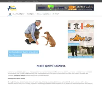 Evdekopekegitimi.org(Evde K) Screenshot