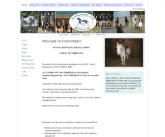 Evenstrideltd.com(Evenstrideltd) Screenshot