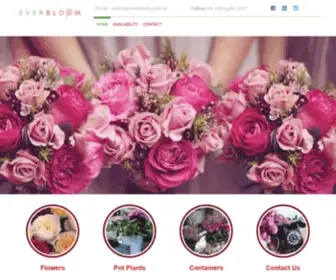 Everbloom.com.au(Everbloom Flowers PTY) Screenshot