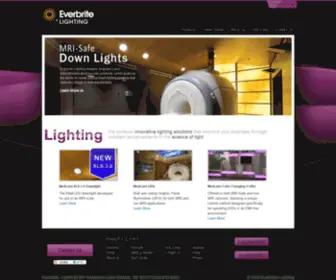 Everbritelighting.com(Everbrite Lighting) Screenshot