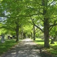 Evergreencemeterystoughton.com Favicon