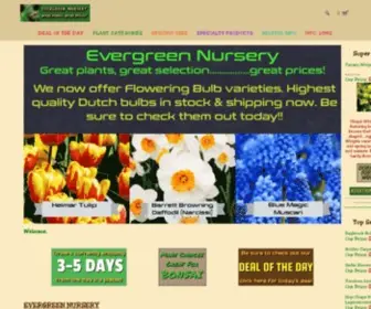 Evergreenplantnursery.com(Evergreen Nursery specializes in a wide variety of top quality) Screenshot