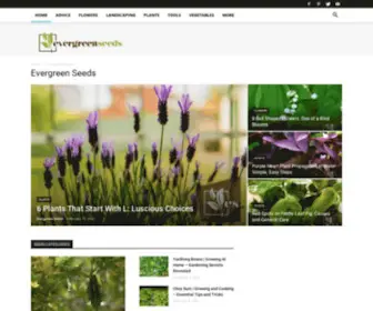 Evergreenseeds.com(Oriental Vegetable Seeds) Screenshot