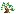 Evergreentreecarebrisbane.com Favicon