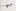 Everirisdesigns.com Favicon