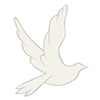 Everlastpeace.com Favicon