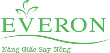 Everonhanoi.vn Favicon