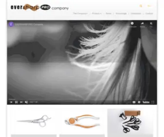 Eversharp-Pro.com.tw(Eversharp) Screenshot
