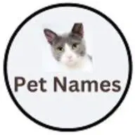 Everypetnames.com Favicon