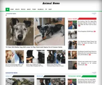 Everythingfromanimals.com(Animal news) Screenshot