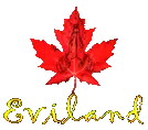 Eviland.com Favicon