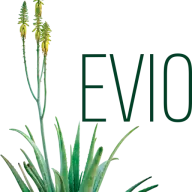 Evioaloe-BG.com Favicon