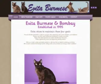 Evitaburmese.net(EVITA TRADITIONAL BURMESE) Screenshot