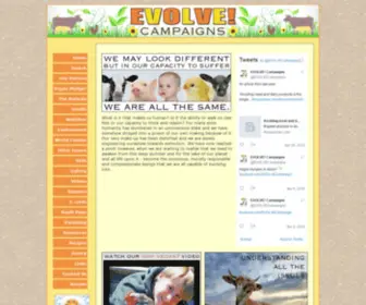 Evolvecampaigns.org.uk(EVOLVE) Screenshot