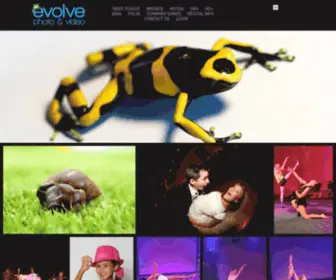 Evolvephotovideo.com(Evolve) Screenshot