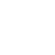 Evosprint.com Logo