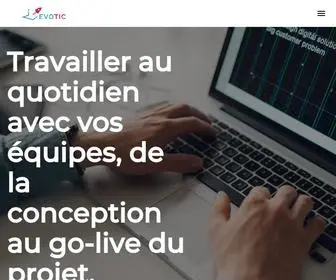 Evotic.ch(Consulting en système d'information) Screenshot