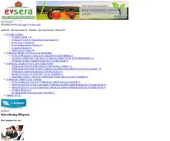 Evsera.com(Evsera) Screenshot
