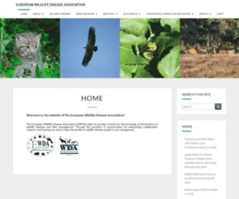 Ewda.org(The EWDA is a partner organization of the WDA) Screenshot