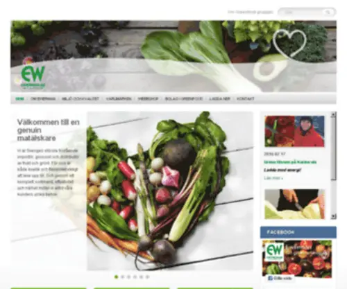 Ewerman.se(Ewerman) Screenshot