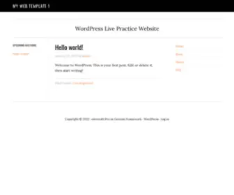 Example-Domain-WP-Practice.com(My Web Template 1) Screenshot