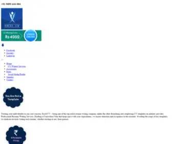 Excelcv.com(Professional Resume Writing Services) Screenshot