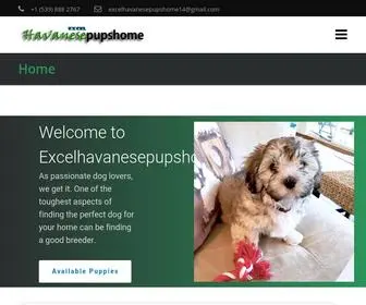 Excelhavanesepupshome.com(Home) Screenshot