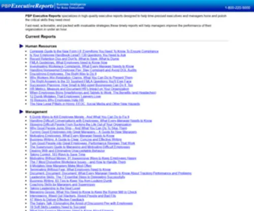 Executive-Reports.com(PBP Executive Reports™) Screenshot