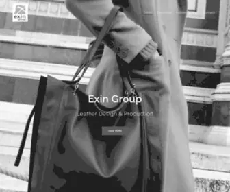 Exingroup.it(Exin Group) Screenshot