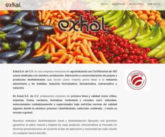 Exkal.com(Exkal) Screenshot