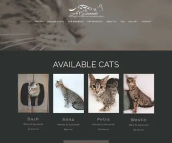 Exoticcats.com(A1 Savannahs) Screenshot