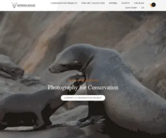 Experiencewildlife.com(Experience Wildlife) Screenshot