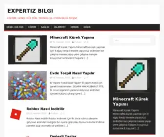 Expertizbilgi.com(Expertizbilgi) Screenshot