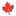 Expoestudiavirtual.com Favicon