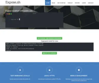 Expose.sh(Expose localhost to the web) Screenshot