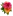 Expressflower.ph Favicon