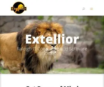 Extellior.com(Extellior LLC) Screenshot