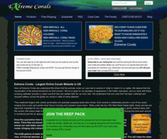 Extremecorals.com(Extreme Corals) Screenshot