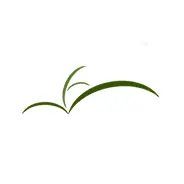 Exturf.net Favicon