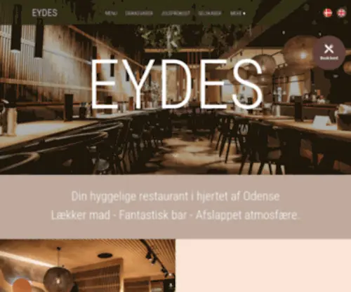 Eydes.dk(Eydes i Odense) Screenshot