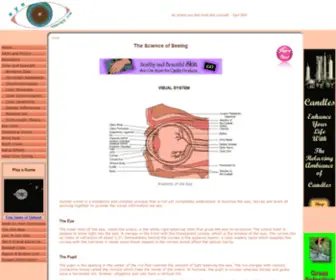 Eye-Therapy.com(The Science of Seeing) Screenshot