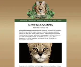F1HYbridssavannahcats.com(F1hybrids Savannah Cats) Screenshot