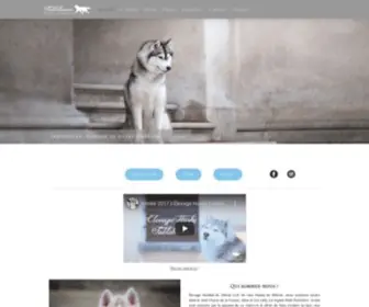 Fablehaven-Husky.com(Chiens et chiots husky sibérien lof) Screenshot