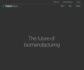 Fabricnano.com(DNA Nanotechnology) Screenshot