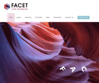 Facetlifesciences.com(Development Solutions for Small Teams with Big Goals) Screenshot