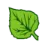 Fagus.com.pl Favicon