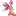 Fairy4U.com Favicon